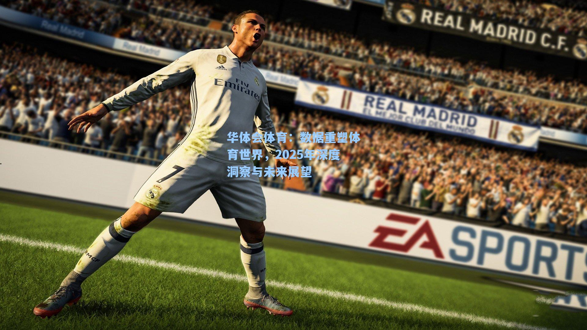 数据重塑体育世界，2025年深度洞察与未来展望