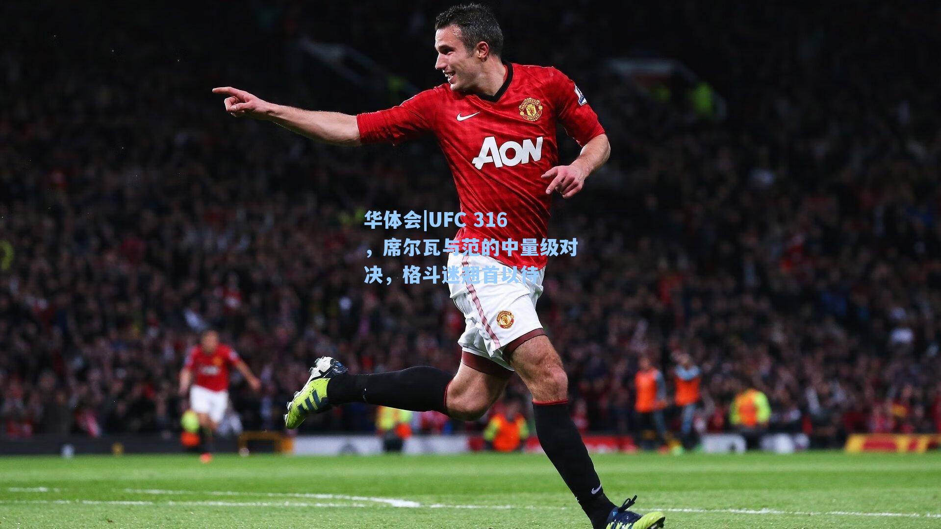 UFC 316，席尔瓦与范的中量级对决，格斗迷翘首以待